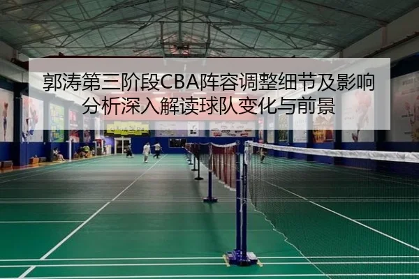 郭涛第三阶段CBA阵容调整细节及影响分析深入解读球队变化与前景