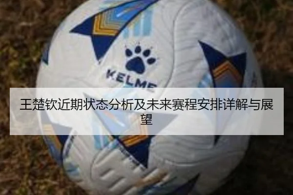 王楚钦近期状态分析及未来赛程安排详解与展望