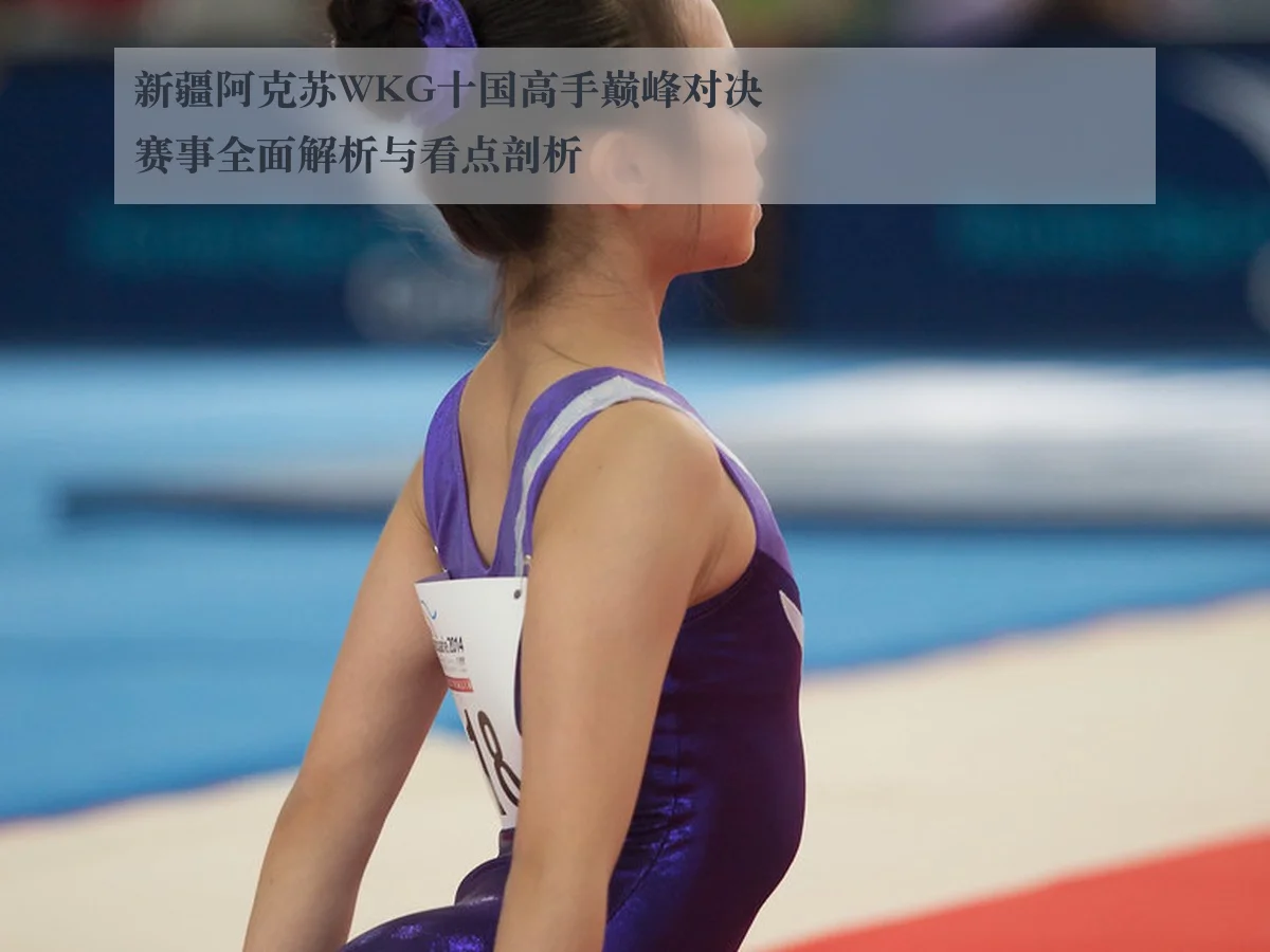 新疆阿克苏WKG十国高手巅峰对决赛事全面解析与看点剖析
